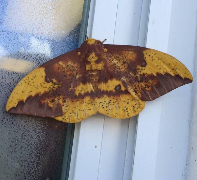 Daily Picdump [WEEKEND EDITION]