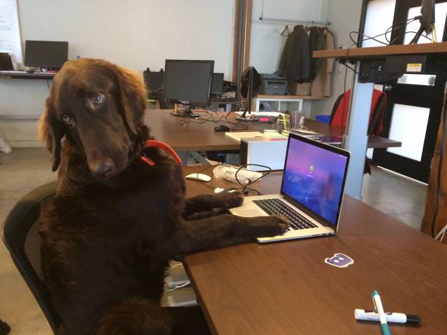 Daily Picdump [WEEKEND EDITION]