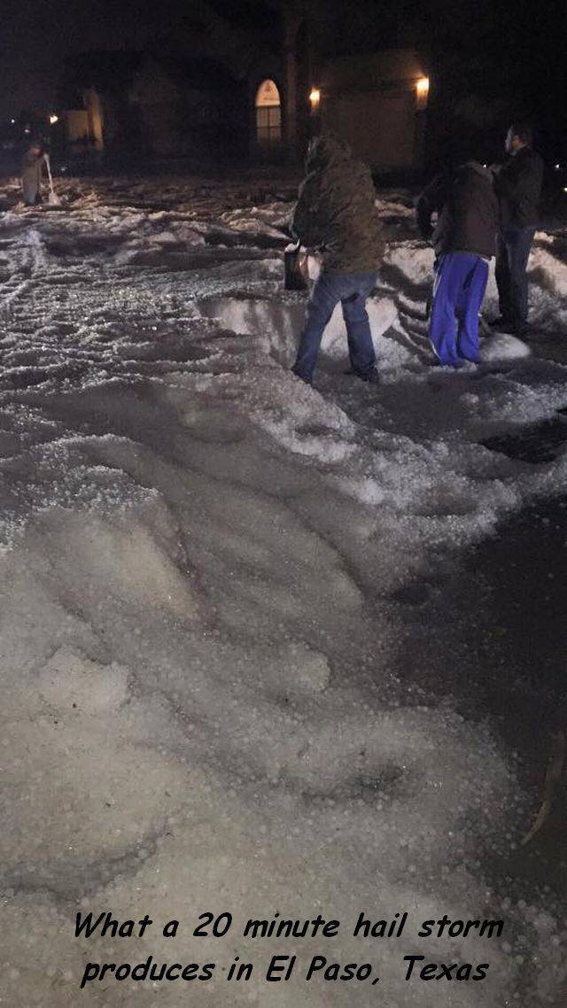 Daily Picdump [WEEKEND EDITION]