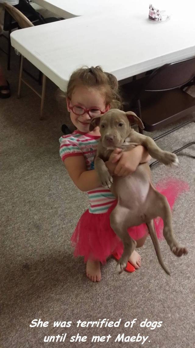 Daily Picdump [WEEKEND EDITION]