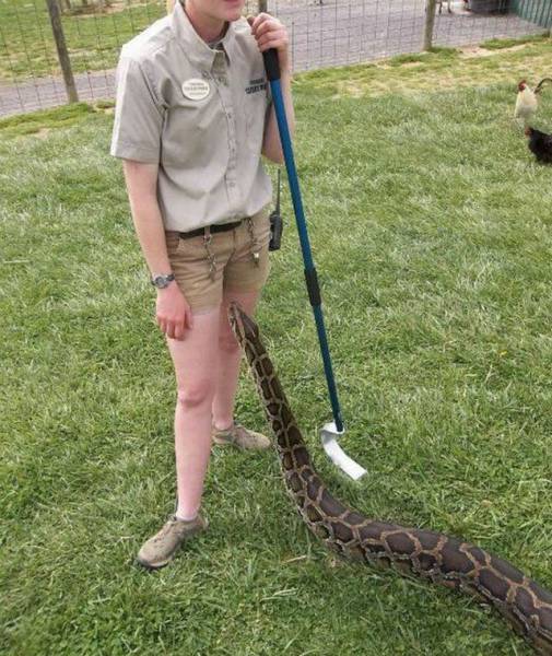 daily picdump 100 pics 19.html - 100 HD Photos | Premium Gallery 2016