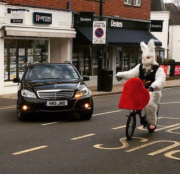 daily picdump 100 pics 19.html - 100 HD Photos | Premium Gallery 2016