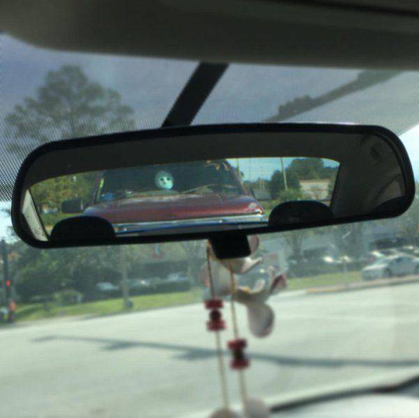 daily picdump 100 pics 19.html - 100 HD Photos | Premium Gallery 2016