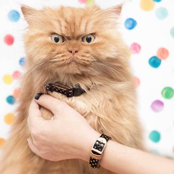 daily picdump 100 pics 19.html - 100 HD Photos | Premium Gallery 2016