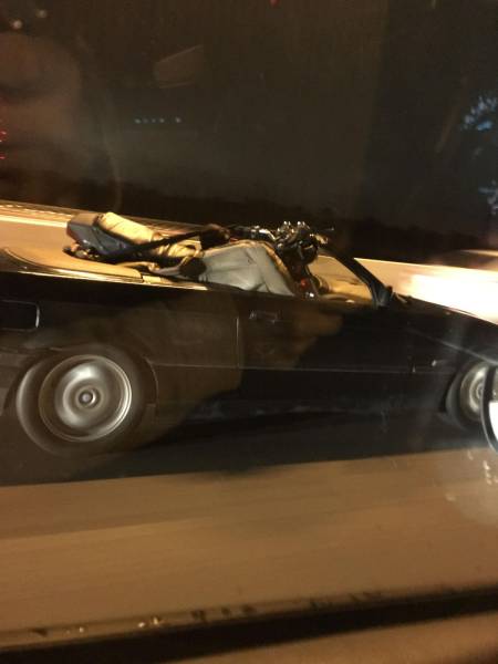 daily picdump 100 pics 19.html - 100 HD Photos | Premium Gallery 2016