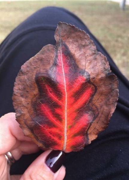 daily picdump 100 pics 19.html - 100 HD Photos | Premium Gallery 2016