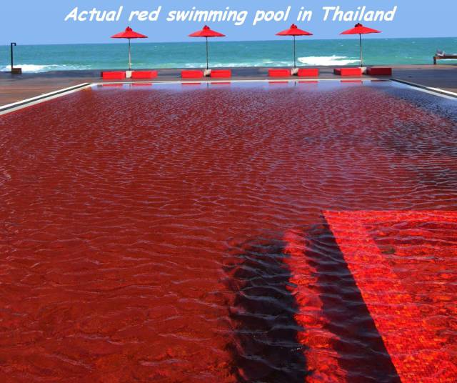 daily picdump 100 pics 19.html - 100 HD Photos | Premium Gallery 2016