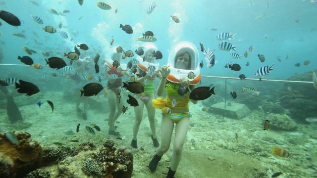 daily picdump 100 pics 19.html - 100 HD Photos | Premium Gallery 2016