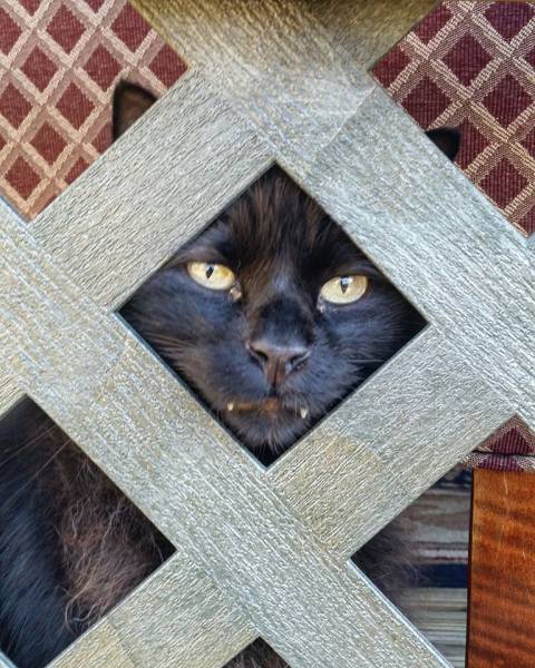 daily picdump 100 pics 19.html - 100 HD Photos | Premium Gallery 2016