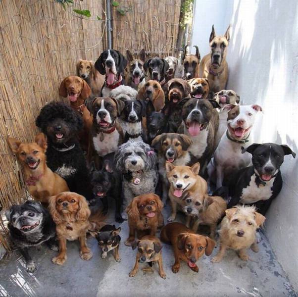 daily picdump 100 pics 19.html - 100 HD Photos | Premium Gallery 2016