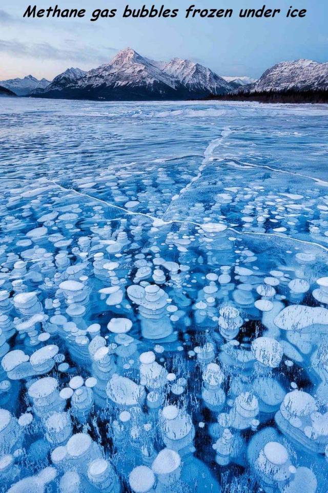 daily picdump 100 pics 19.html - 100 HD Photos | Premium Gallery 2016