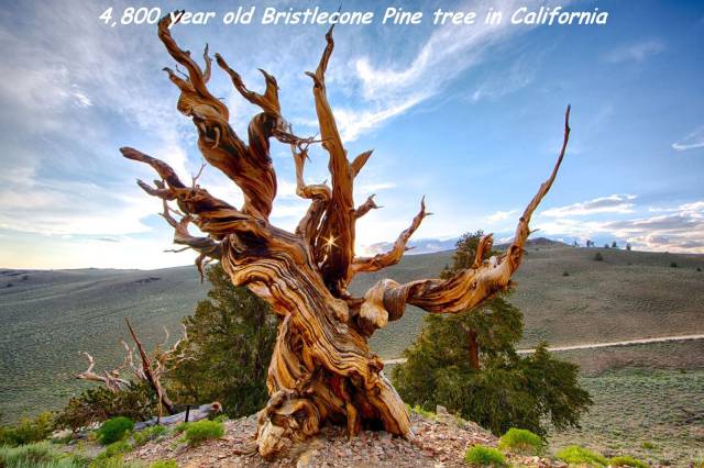 daily picdump 88 pics 38.html - 88 HD Photos | Premium Gallery 2016