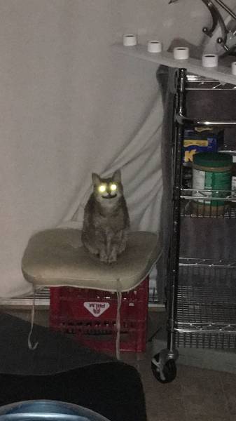 daily picdump 88 pics 38.html - 88 HD Photos | Premium Gallery 2016