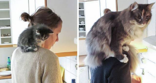 daily picdump 88 pics 38.html - 88 HD Photos | Premium Gallery 2016