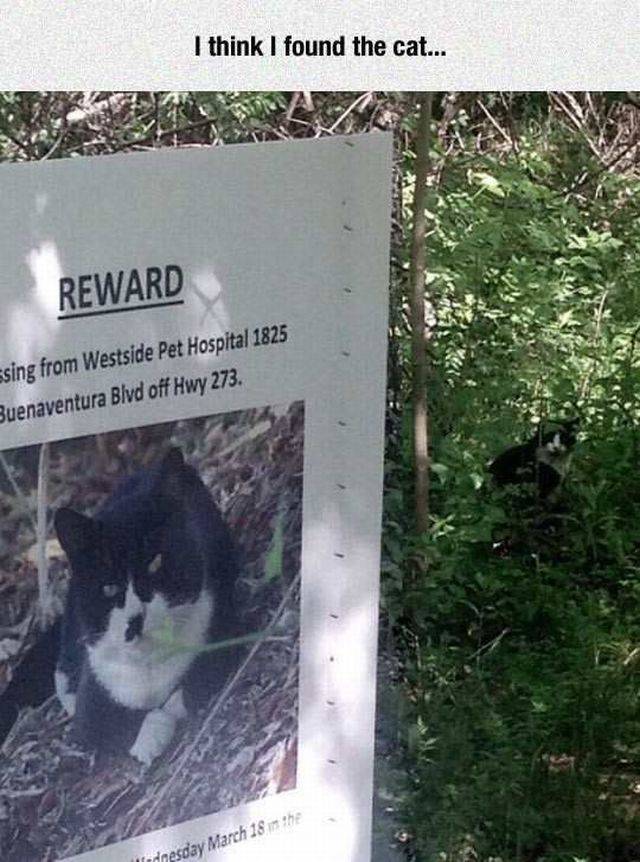 daily picdump 88 pics 38.html - 88 HD Photos | Premium Gallery 2016