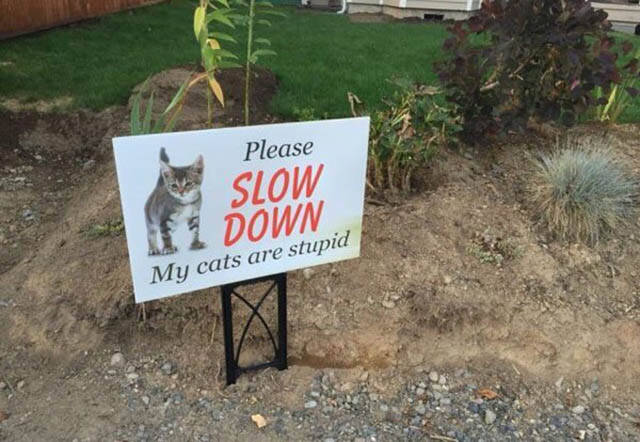 morning picdump 50 pics 2.html - 50 HD Photos | Premium Gallery 2016