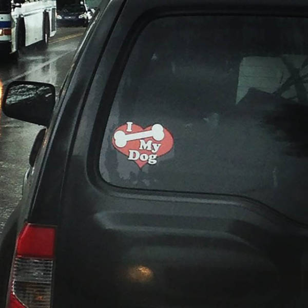 morning picdump 50 pics 2.html - 50 HD Photos | Premium Gallery 2016