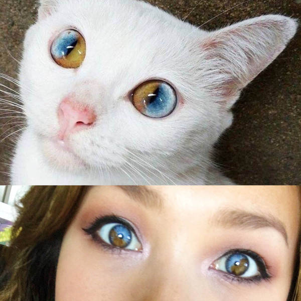 morning picdump 50 pics 2.html - 50 HD Photos | Premium Gallery 2016