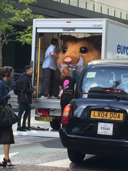 morning picdump 50 pics 2.html - 50 HD Photos | Premium Gallery 2016