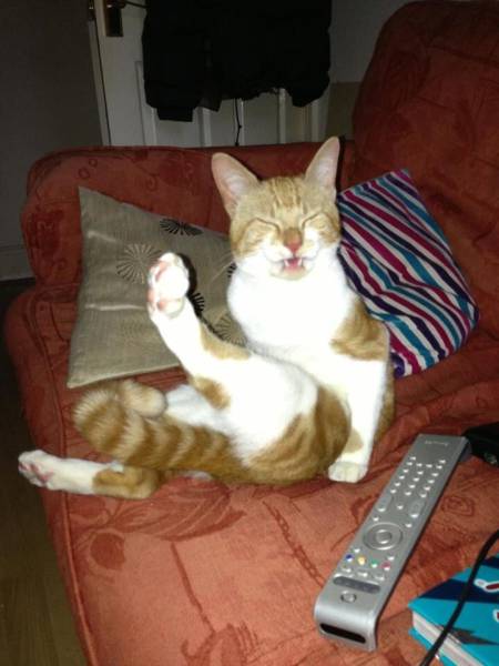 morning picdump 50 pics 23.html - 50 HD Photos | Premium Gallery 2016