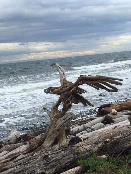 morning picdump 50 pics 23.html - 50 HD Photos | Premium Gallery 2016