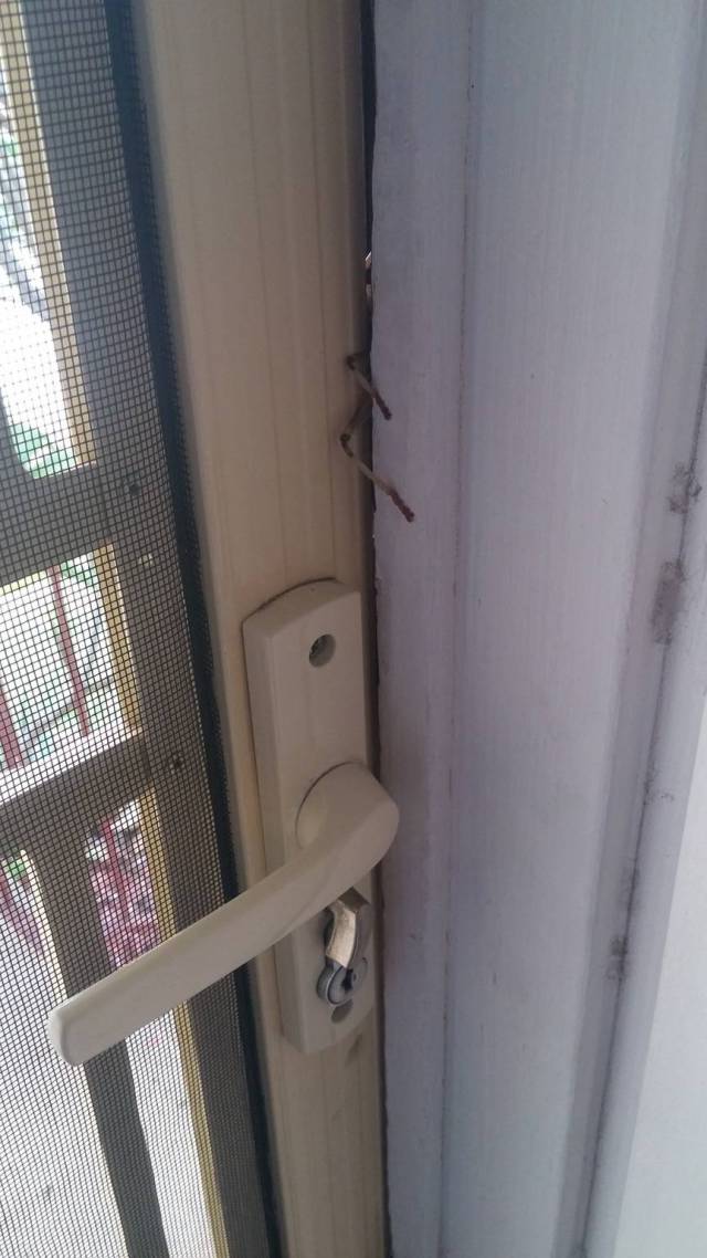 morning picdump 50 pics 23.html - 50 HD Photos | Premium Gallery 2016