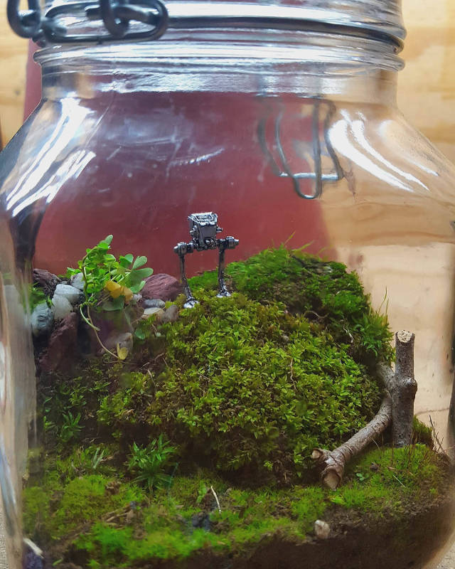 morning picdump 50 pics 23.html - 50 HD Photos | Premium Gallery 2016