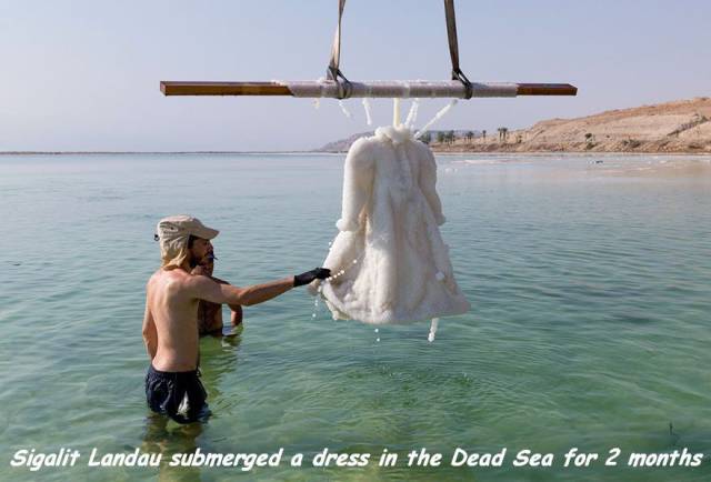 daily picdump 99 pics 41.html - 99 HD Photos | Premium Gallery 2016