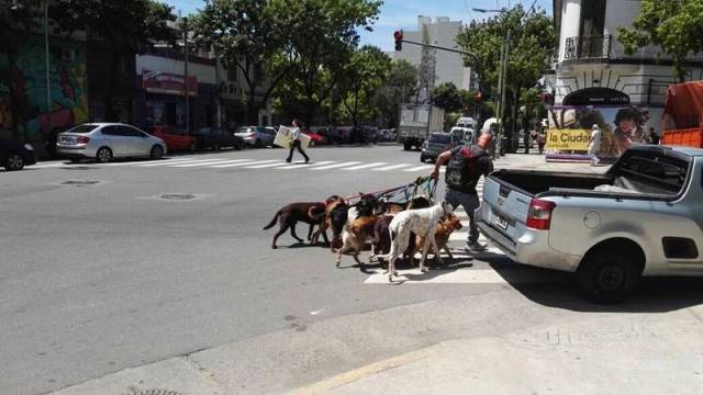 daily picdump 99 pics 41.html - 99 HD Photos | Premium Gallery 2016