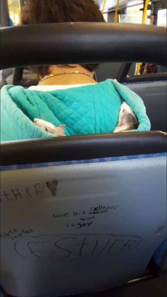 daily picdump 99 pics 41.html - 99 HD Photos | Premium Gallery 2016