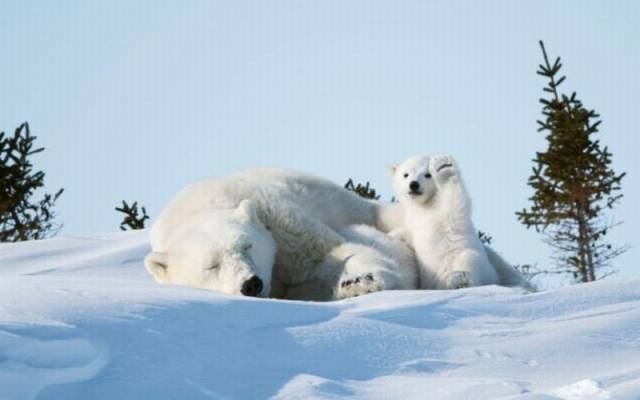 daily picdump 99 pics 41.html - 99 HD Photos | Premium Gallery 2016