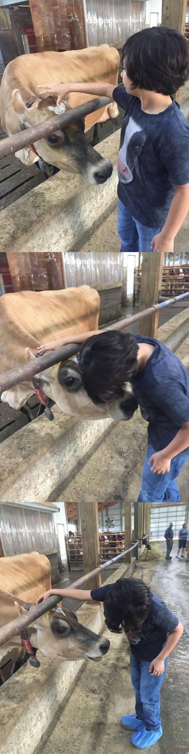 daily picdump 99 pics 41.html - 99 HD Photos | Premium Gallery 2016