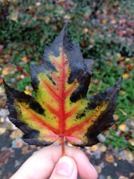 morning picdump 51 pics 3.html - 51 HD Photos | Premium Gallery 2016