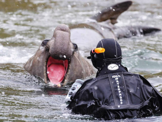 morning picdump 51 pics 3.html - 51 HD Photos | Premium Gallery 2016