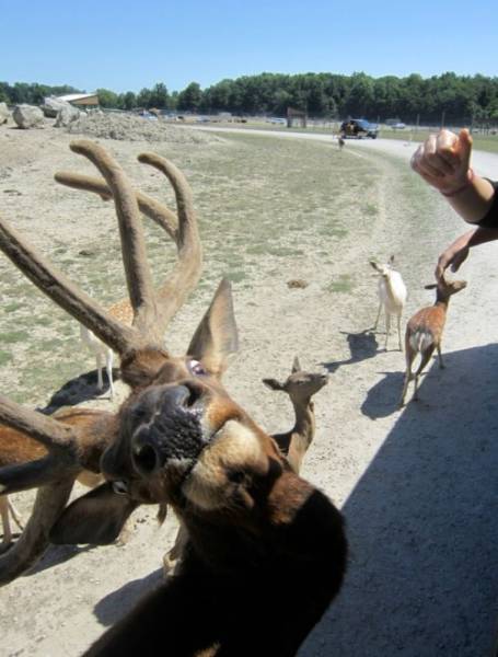 morning picdump 51 pics 3.html - 51 HD Photos | Premium Gallery 2016