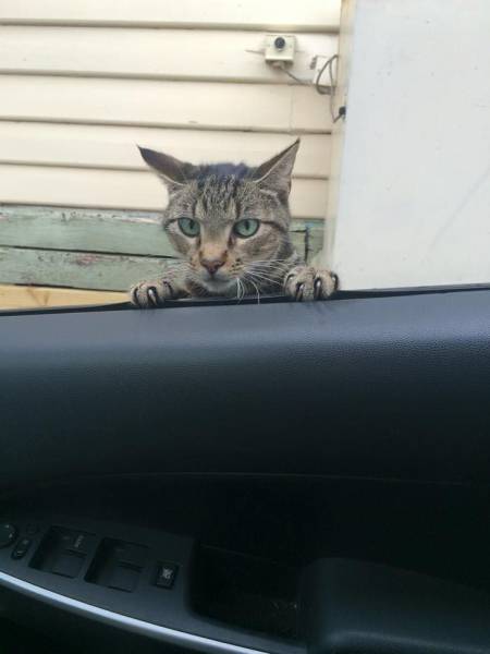 daily picdump 105 pics 2.html - 105 HD Photos | Premium Gallery 2016