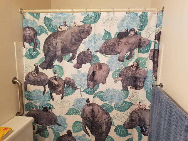 morning picdump 52 pics 5.html - 52 HD Photos | Premium Gallery 2016