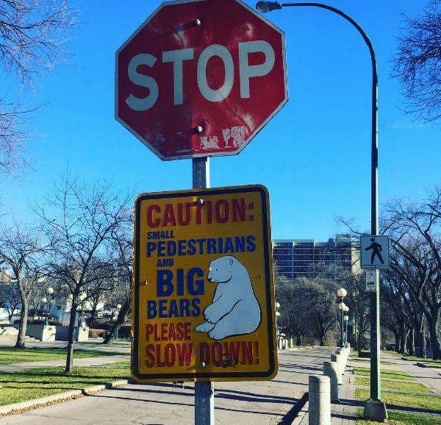 Daily Picdump