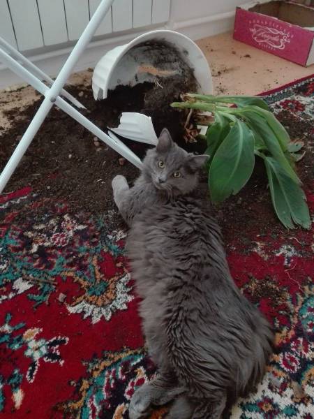 Daily Picdump