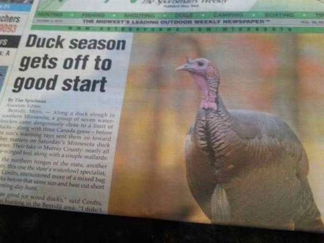 Daily Picdump