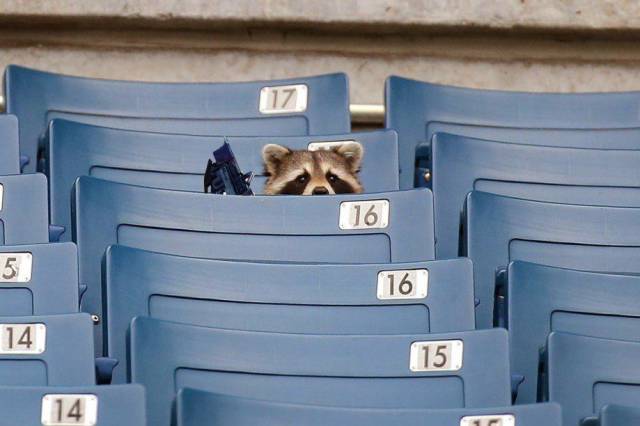daily picdump weekend edition 60 pics 15.html - 60 HD Photos | Premium Gallery 2016