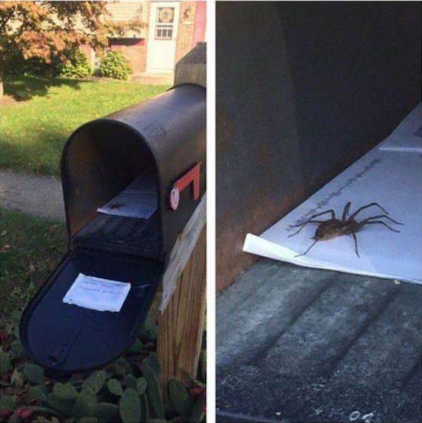 daily picdump weekend edition 60 pics 15.html - 60 HD Photos | Premium Gallery 2016