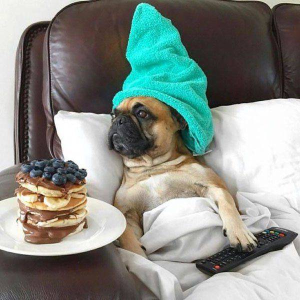 daily picdump weekend edition 60 pics 15.html - 60 HD Photos | Premium Gallery 2016
