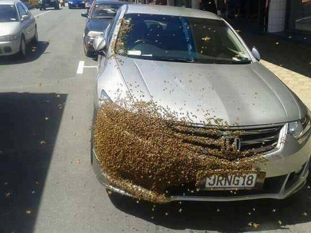 daily picdump 101 pics 11.html - 101 HD Photos | Premium Gallery 2016