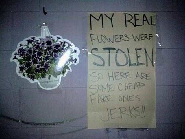 daily picdump 101 pics 11.html - 101 HD Photos | Premium Gallery 2016