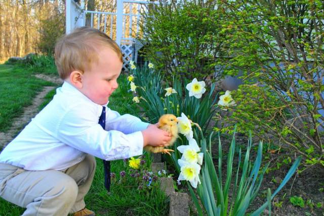 daily picdump 101 pics 11.html - 101 HD Photos | Premium Gallery 2016