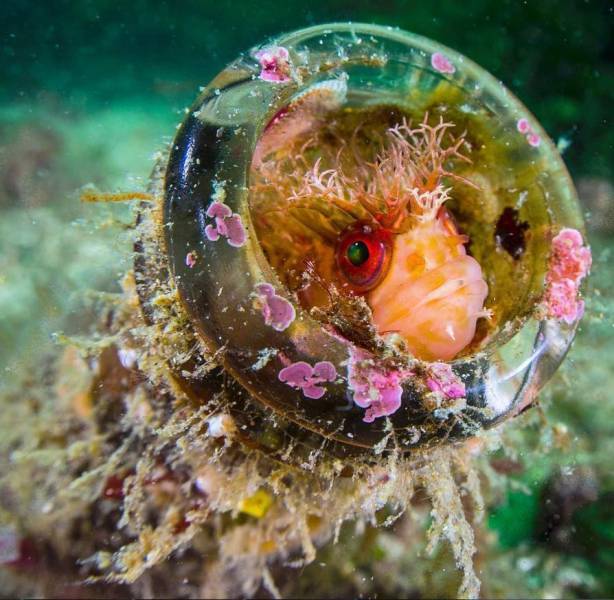 daily picdump 101 pics 11.html - 101 HD Photos | Premium Gallery 2016