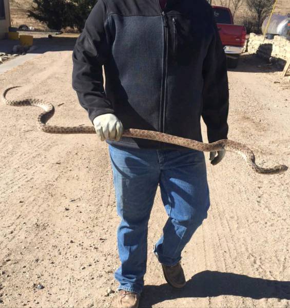 daily picdump 101 pics 11.html - 101 HD Photos | Premium Gallery 2016