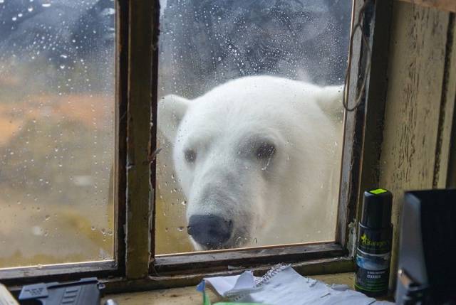 daily picdump 101 pics 11.html - 101 HD Photos | Premium Gallery 2016