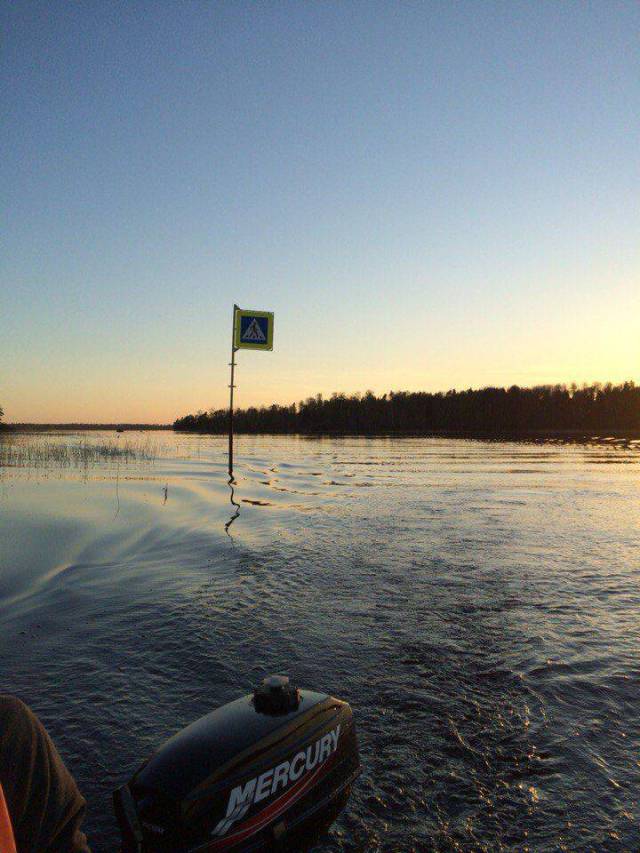 daily picdump 101 pics 11.html - 101 HD Photos | Premium Gallery 2016